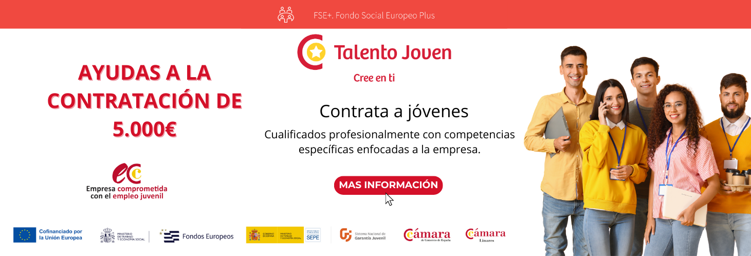 Convocatoria de ayudas económicas destinadas al fomento del empleo Anualidad 2025 - Línea 1