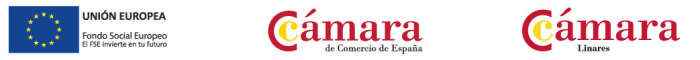 logo FSE CE CamaraLinares